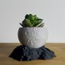 Modern 3D Printed Decorative Plant Pot Image 4