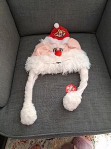 Christmas novelty santa hat.
