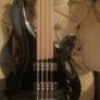 Harley Benton Fretless Bass B-450 FL Image 2