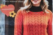 New - A Knitting Pattern  - A Lovely Sweater with Raglan Shaping - E