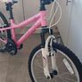 girls 20 inch bike Image 4