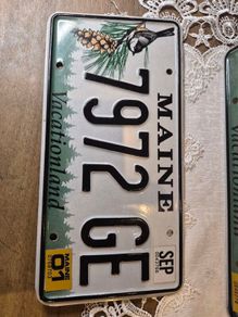 Vintage License Plate