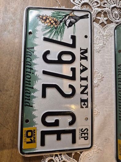 Vintage License Plate