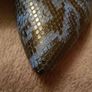Gorgeous high heels blue black mint condition snake printed leather pointed cool heels size 41/7 Image 4