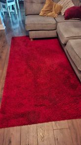 red shaggy rug