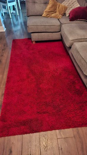 red shaggy rug