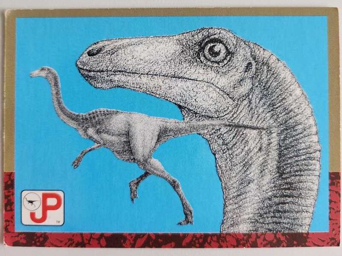 Jurassic Park cards