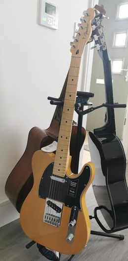 Fender Player Telecaster MN