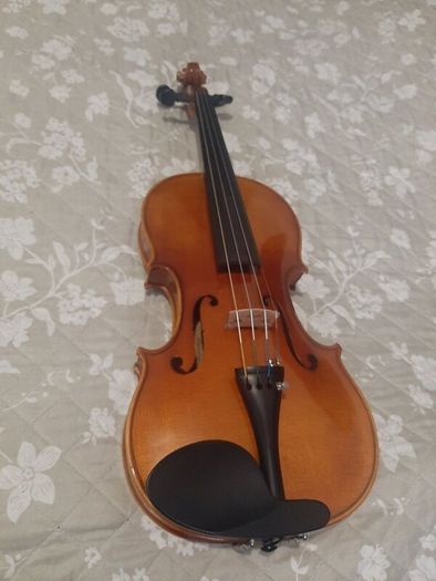 Violin Roderich Paesold 802