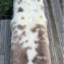 New Super Soft Genuine Natural Mocha & Cream Spotted Sheepskin Rug Image 6