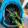 Schwinn Toddler Bike Helmet Image 3