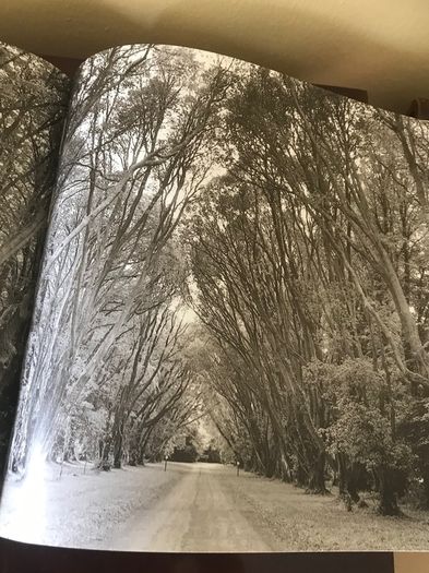 W.B. Yeats-Images of Ireland