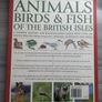Animals Birds & Fish Of The British Isles Image 2