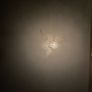 razer blade stealth Image 2