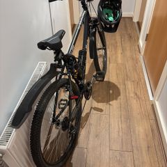 Apollo phase  mountain bikie