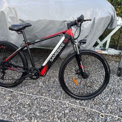 e bike
