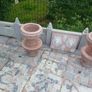garden Image 3