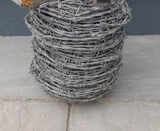 Barbed Wire