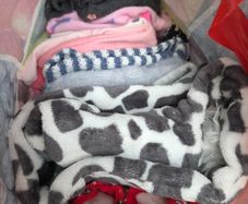 girls clothes