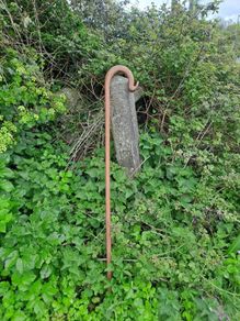 Shepherd's Crook / Staff