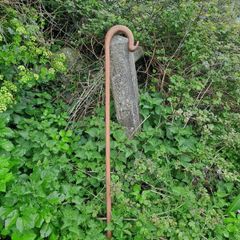 Shepherd's Crook / Staff