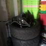Mondello zetec fiesta wheels 7 Image 2