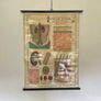 Vintage Poster Anatomical Wall Chart 1940s Image 2