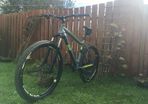 Diamondback Heist 2.0 frame size L
