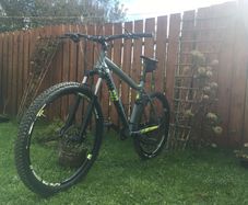 Diamondback Heist 2.0 frame size L