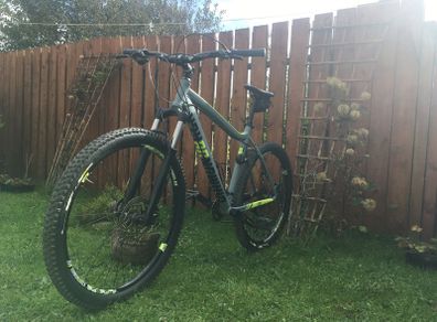 Diamondback Heist 2.0 frame size L