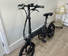 Fiido D2S Electric Bike