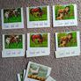 Montessori Matching Exercises Image 5
