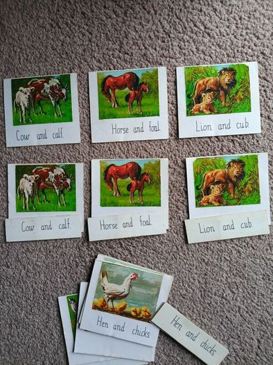 Montessori Matching Exercises