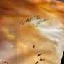 Saoirse Ronan Autograph - The Lovely Bones : Large Movie Poster Image 2