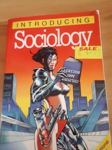 Introducing sociology