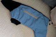 Small dog coat