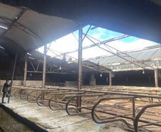 Farm painting and general repairs