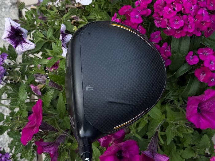 Cobra LTD x LS Driver