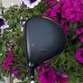 Cobra LTD x LS Driver Image 2