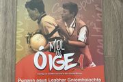 Mol An Oige 1: Portfolio and Activity Book (Junior Cycle Irish for First Year)