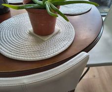 aloe vera plant