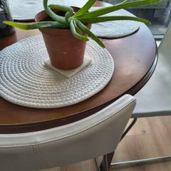 aloe vera plant