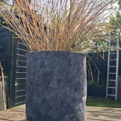 Tall grasses