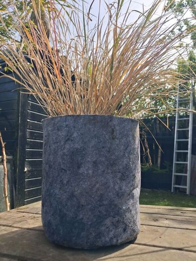 Tall grasses