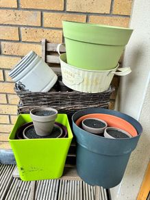 Assorted Planters and Pots