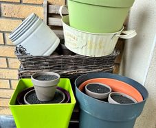 Assorted Planters and Pots