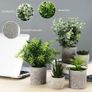 Pack of 5 Artificial Plants, Mini Artificial Plants Snake Tongue, Agave Succulent, Eagle Claw Aloe, Artificial Plants for Bedroom, Office, Decoration Image 4