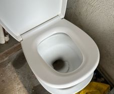 toilet