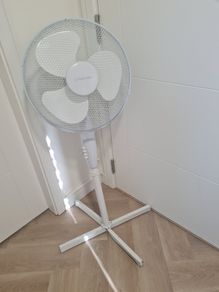 fan