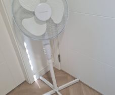 fan